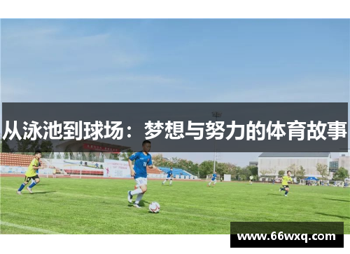 从泳池到球场：梦想与努力的体育故事